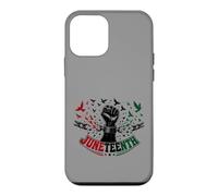 Juneteenth Freedom Day Emancipation Fist Coque pour iPhone 12 Mini
