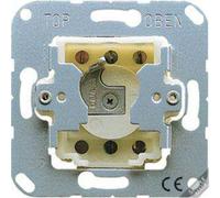 JUNG 134.28 - Interrupteur à clé - 2P - métallique - 250 V - 50 - 60 Hz - 10 A