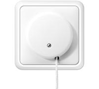 Jung Interrupteur à corde 5506ZUWW Bouton + interrupteur Blanc