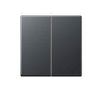 JUNG A595BFANM Double Touche Thermoplastique (test de choc) Laqué Anthracite Mat