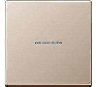 Jung bascule A590KO5CH 1 x, pour interrupteur/poussoir KO, avec conducteur de...