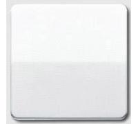 JUNG bascule, Bouton + interrupteur, Blanc