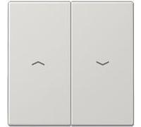 JUNG Bascule pour bouton-poussoir Ba 2-F. LS995PLG (LS990) avec symboles gris clair, Bouton + interrupteur, Gris
