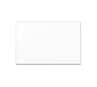 JUNG Bascule pour interrupteur/bouton-poussoir - A590BFWW Série A blanc alpin, Bouton + interrupteur, Blanc