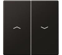 JUNG Bascule pour interrupteur/bouton-poussoir de store A595PSWM noir graphite mat, Bouton + interrupteur, Noir