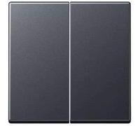 JUNG Bascule pour interrupteur série A595BFANM série A anthracite mat, Bouton + interrupteur, Gris