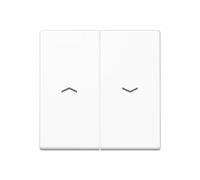 Jung Bascule symboles flèches 2-f A 595 BF P WW A595BFPWW
