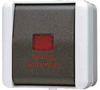 JUNG Bouton d'urgence du chauffage, Bouton + interrupteur, Gris