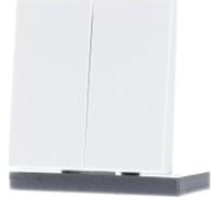 Jung Bouton-poussoir double standard LS1702WW (LS1702WW)