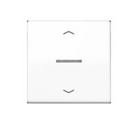 Jung BTAS17101PWW JUNG HOME Bouton-poussoir simple avec symbole de flèche (BTAS17101PWW)