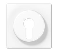 Jung Cache pour Interrupteur à clé LS928WW