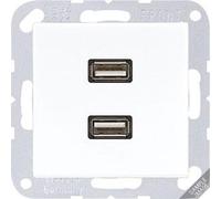 Jung - Carte 2 x USB anthracite mat