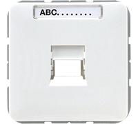 Jung CD500 Plaque D'insertion Commutateur - CD569-1WEWW