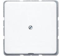 Jung CD500 Plaque D'insertion Commutateur - CD590AWW