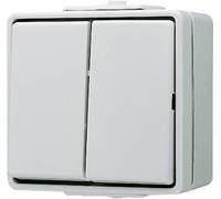 Jung complet Interrupteur double WG 600 gris 605W