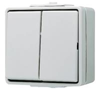 Jung complet Interrupteur double WG 600 gris 605W 1 pc(s)