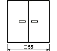 Jung HOME Bouton-poussoir double BTAS17102WW 1 (BTAS17102WW)