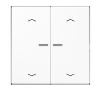 Jung HOME Bouton-poussoir double BTLS17102PWW avec symbole de flèche 1 (BTLS17102PWW)