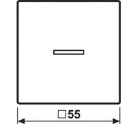 Jung HOME Bouton-poussoir simple BTA17101PSWM avec symbole de flèche 1 (BTA17101PSWM)