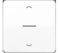 Jung HOME Bouton-poussoir simple BTCD17101PWW avec symbole de flèche 1 (BTCD17101PWW)