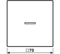 Jung HOME Bouton-poussoir simple BTLS17101SWM 1 (BTLS17101SWM)