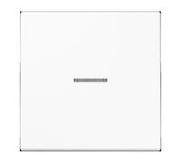 Jung HOME Bouton-poussoir simple BTLS17101WW 1 (BTLS17101WW)