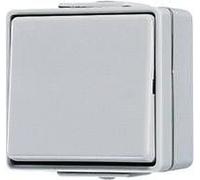 JUNG interrupteur à bascule, Bouton + interrupteur, Gris