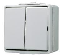 Jung complet Interrupteur double WG 600 gris 605W