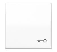 Jung Jung Basculante symbole PORTE aws pour bouton-poussoir AS 591 T WW Quantité:1
