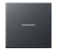 Jung Jung Bascule avec lentille anthracite mat A 590 BF KO5 ANM Quantité:1