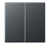 Jung Jung Bascule double anthracite mat A 595 BF ANM Quantité:1