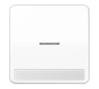 Jung Jung Bascule lumière/écriture pour bouton-poussoir CD 590 NAKO5 WW Quantité:1