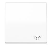 Jung Jung Bascule symbole LUMIÈRE aws pour bouton-poussoir AS 591 L WW Quantité:1