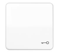 Jung Jung Bascule Symbole PORTE aws pour bouton-poussoir CD 590 T WW Quantité:1