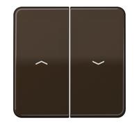 Jung Jung Bascule Symboles br pour bouton-poussoir CD 595 P Quantité:1
