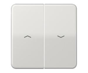 Jung Jung Bascule symboles lgr pour bouton-poussoir CD 595 P LG Quantité:1