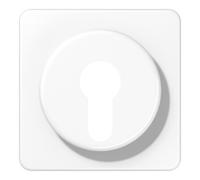 Jung Jung Cache aws pour commutateur D 528 WW Quantité:1