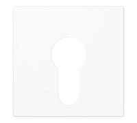 Jung Jung Cache aws pour interrupteur 525 PL WW Quantité:1