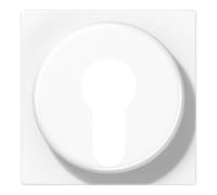 Jung Jung Cache aws pour interrupteur 528 PL WW Quantité:1