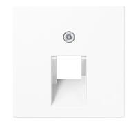 Jung Jung Cache aws pour prise IAE/UAE A 569-1 BFPLUA WW Quantité:1