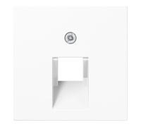 Jung Jung Cache aws pour prise IAE/UAE A 569-1 PLUA WW Quantité:1