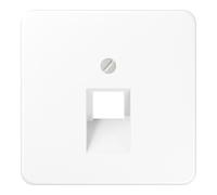 Jung Jung Cache aws pour prise IAE/UAE CD 569-1 UA WW Quantité:1