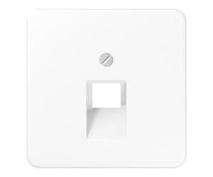 Jung Jung Cache aws pour prise IAE/UAE CD 569-1 UA WW Quantité:1