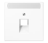 Jung Jung Cache champ d’écriture aws pour prise IAE/UAE LS 969-1 NAUA WW Quantité:1