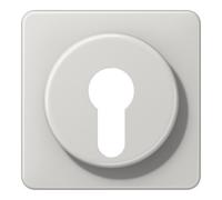 Jung Jung Cache large pour interrupteur D 528 LG Quantité:1