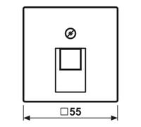 Jung Jung Cache pour prise UAE anthracite mat A 569-1 BF PL UA ANM Quantité:1