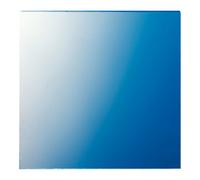 Jung Jung Disque 62,5×61×1 mm 61 GL Quantité:1