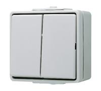 Jung complet Interrupteur double WG 600 gris 605W