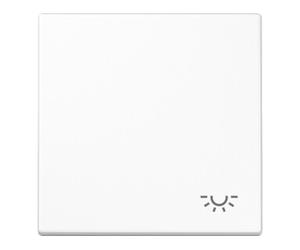 Jung Jung Interrupteur à bascule Symbol LICHT aws pour bouton-poussoir LS 990 L WW Quantité:1