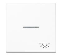Jung Jung Interrupteur à bascule Symbole LUMIÈRE aws pour commutateur de contrôle A 590 KO5L WW Quantité:1